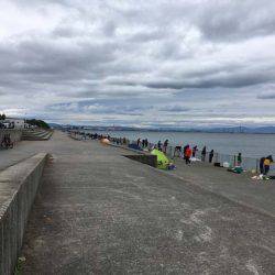 結局タチウオ…（笑）