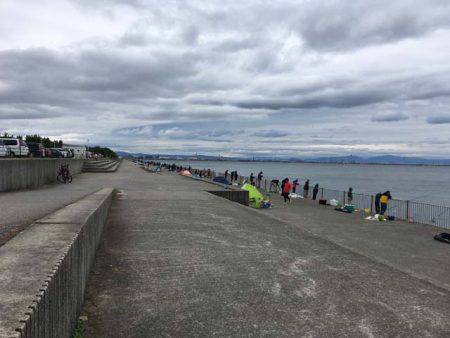 結局タチウオ…（笑）