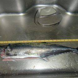 雨にも負けず！