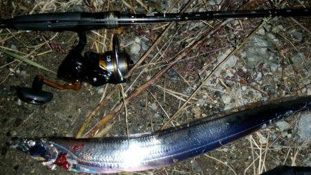 夕マヅメにタチウオワインド