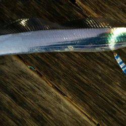 朝マヅメ舞洲調査