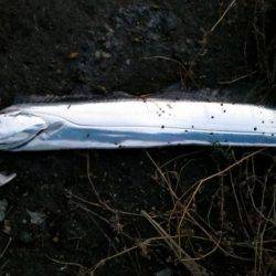 アジングサビキとタチウオ