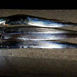 タチウオ遅めのジアイ