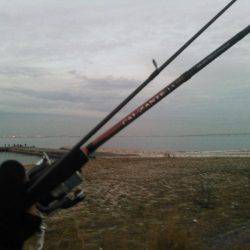 泉南サーフ メバル