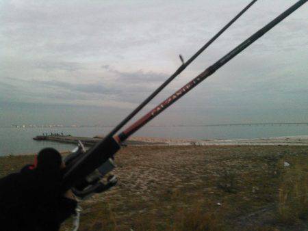 泉南サーフ メバル