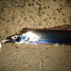 仕事終わりにワインド