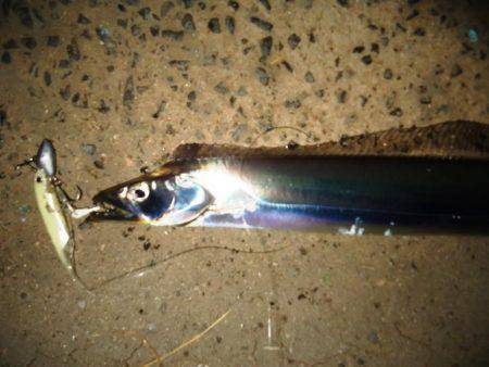 仕事終わりにワインド