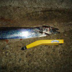 仕事終わりに、ちょっとワインド