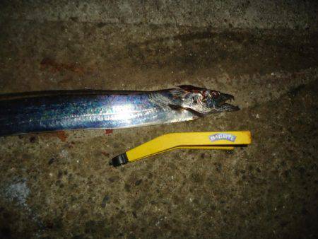 仕事終わりに、ちょっとワインド