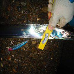 雨の中を．．．