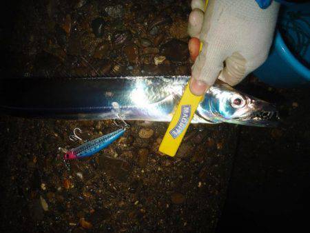 雨の中を．．．