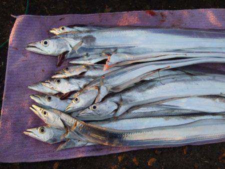 約３０分。ドラゴンは。