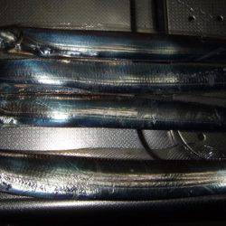 釣れる竿、釣れない竿。ってありますよね?