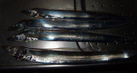 釣れる竿、釣れない竿。ってありますよね？