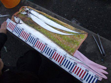 ドラゴン　再び。