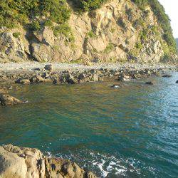 磯でアオリイカのヤエン釣り