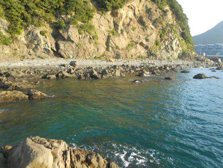 磯でアオリイカのヤエン釣り