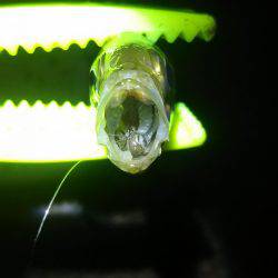 テンションかけずに