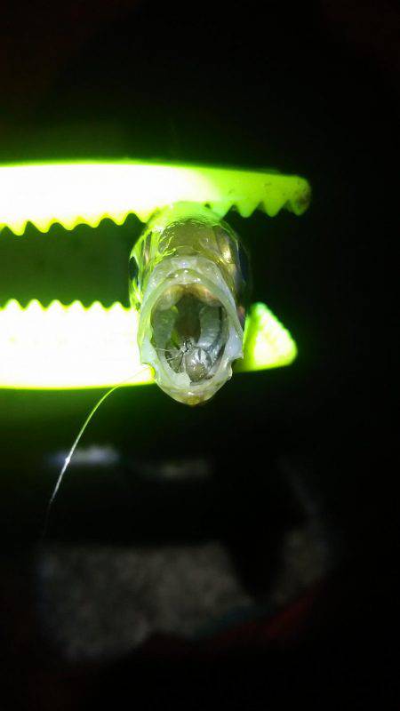 テンションかけずに