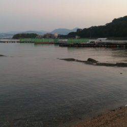 カタタの釣り堀でヒラマサイベント