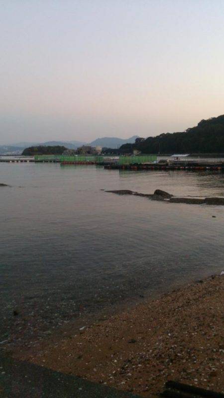 カタタの釣り堀でヒラマサイベント