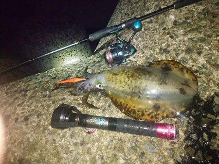 雨の中グッドサイズ