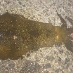 渋い、寒〜い。