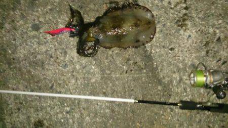 ボウズばかりの日々