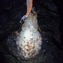 今シーズン初！