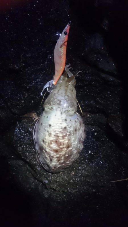 今シーズン初！