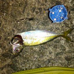 もう少しサイズがあれば