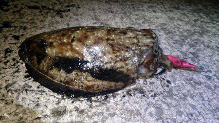 爆風で沈まない