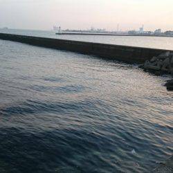 朝間づめ一時間勝負で。