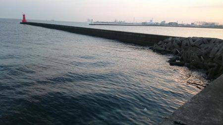 朝間づめ一時間勝負で。