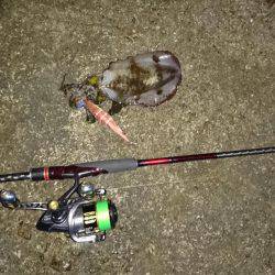 エギングパーティー