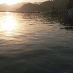 ライトショアジギング