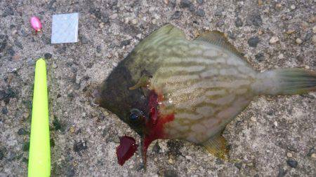 爆風でしかも寒い