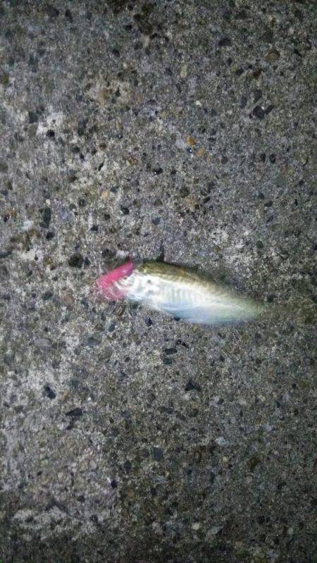 当たりは多いけどサイズが小さい