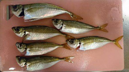 ボチボチのちサッパリ