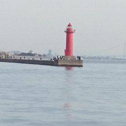 激混み赤灯波止避け 本荘ケーソンへ