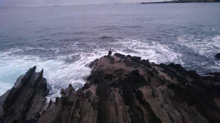 ワインドシーバス