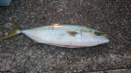 スーパー大潮２日目