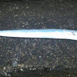 貝塚人工島水路にて太刀魚