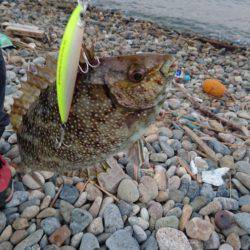 ランガン失敗…