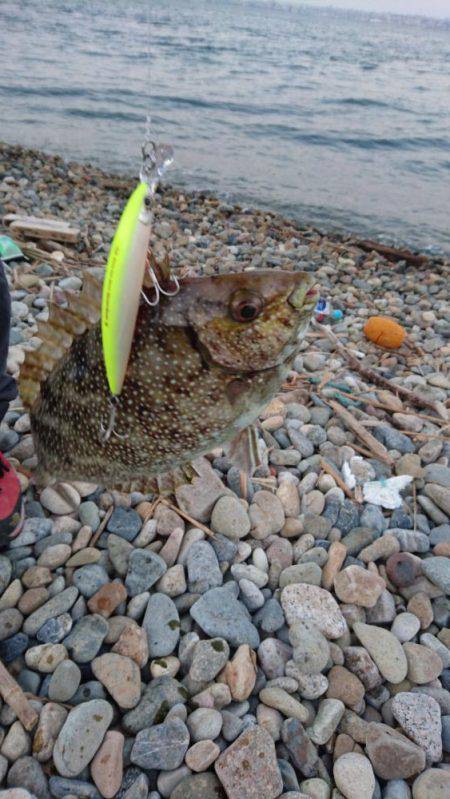 ランガン失敗…