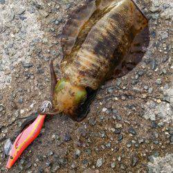 やる気はあるものの