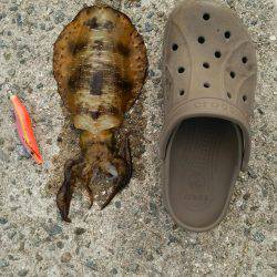 なんとか坊主回避