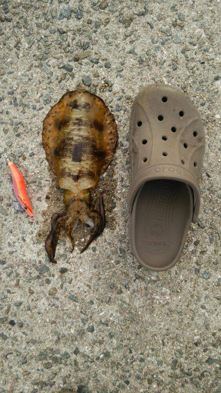 なんとか坊主回避