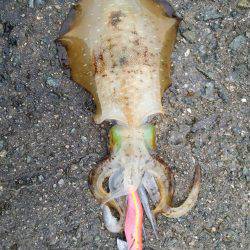 雨の中なんとか１杯