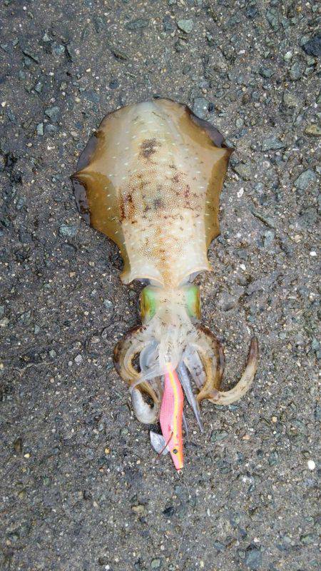 雨の中なんとか１杯